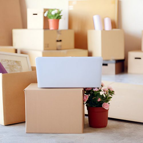 steptodown.com503948