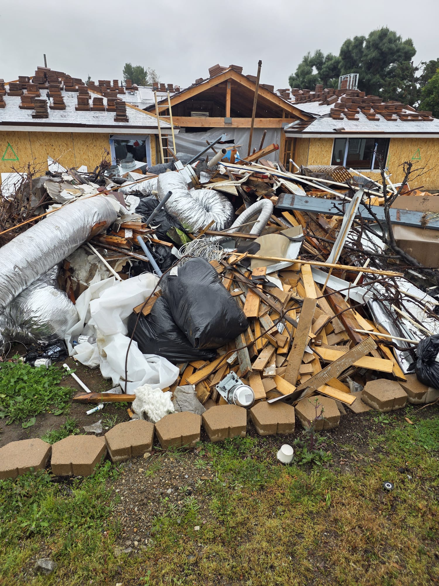 WhatsApp Image 2026-04-08 at 3.16.02 AM